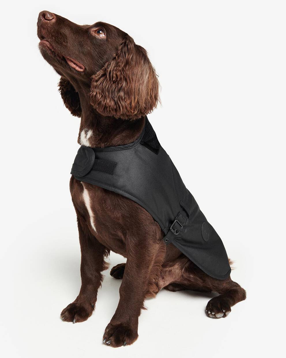 Waxed Dog Coat