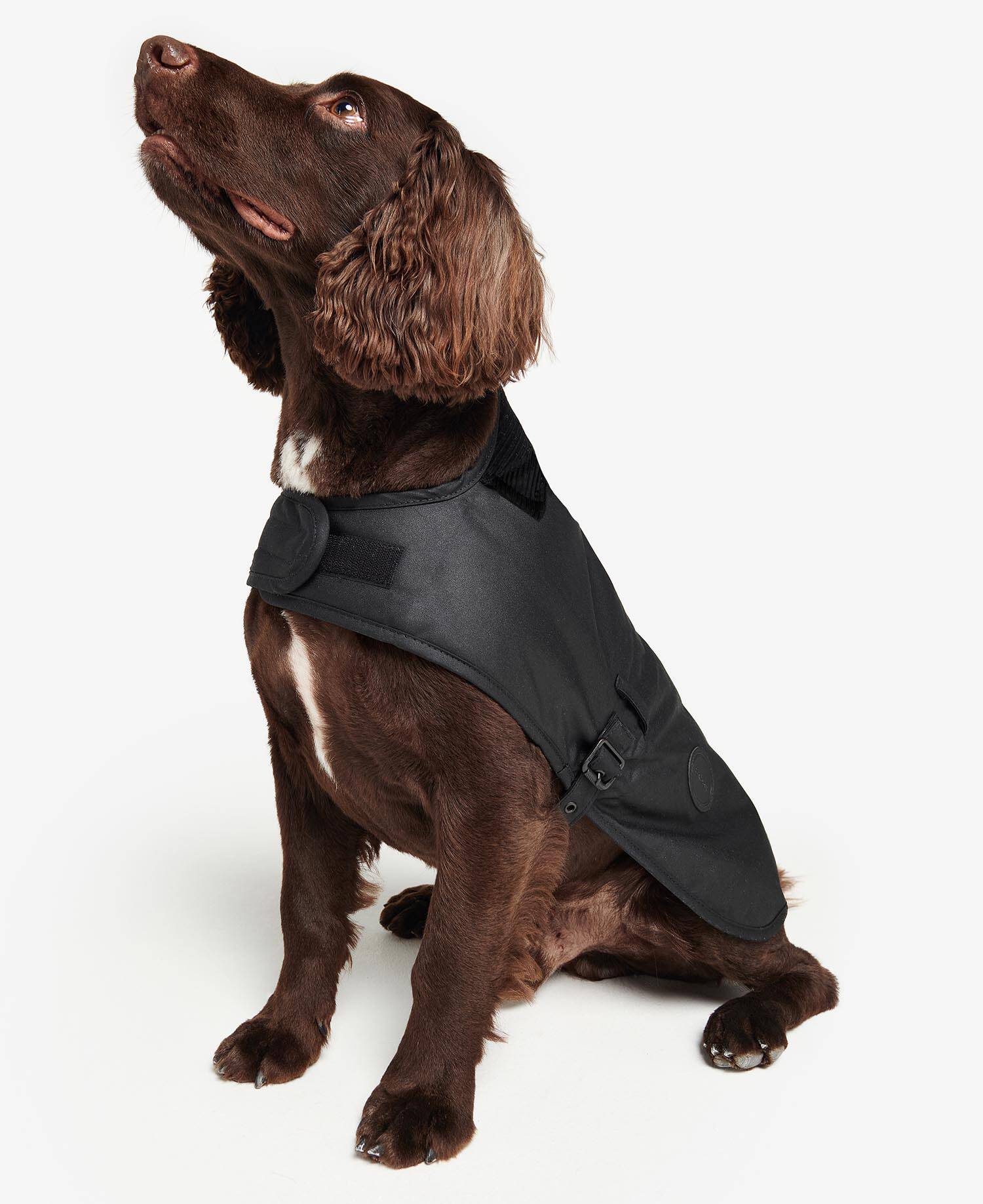 Waxed Dog Coat Classic Black image number 0