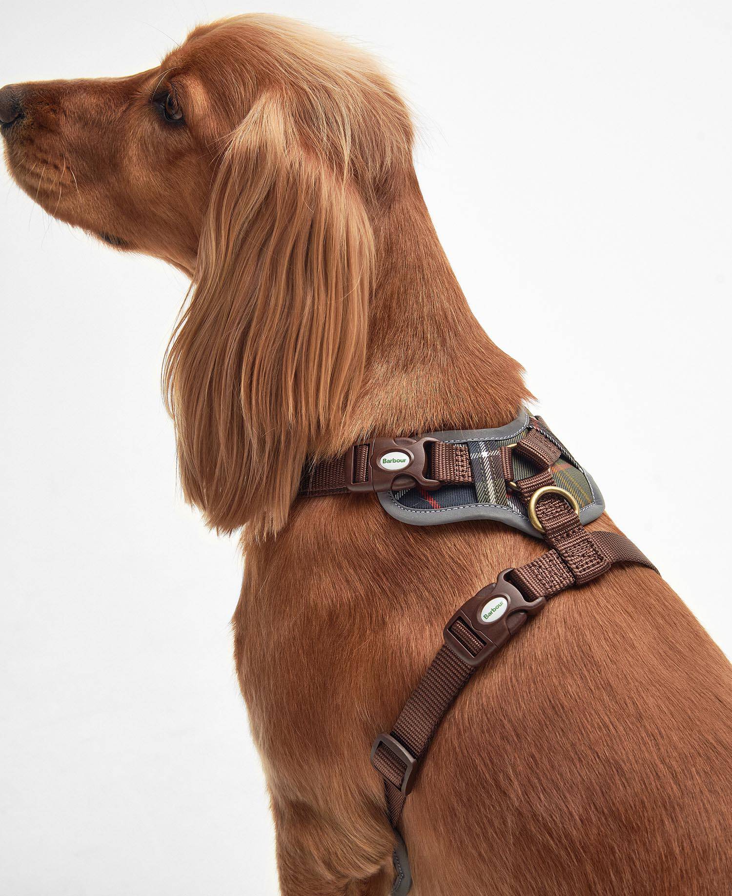 Adjustable Tartan Harness Classic Tartan image number 3