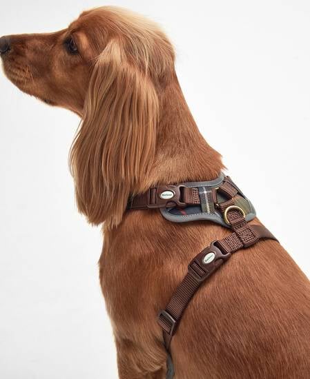 Adjustable Tartan Harness Classic Tartan