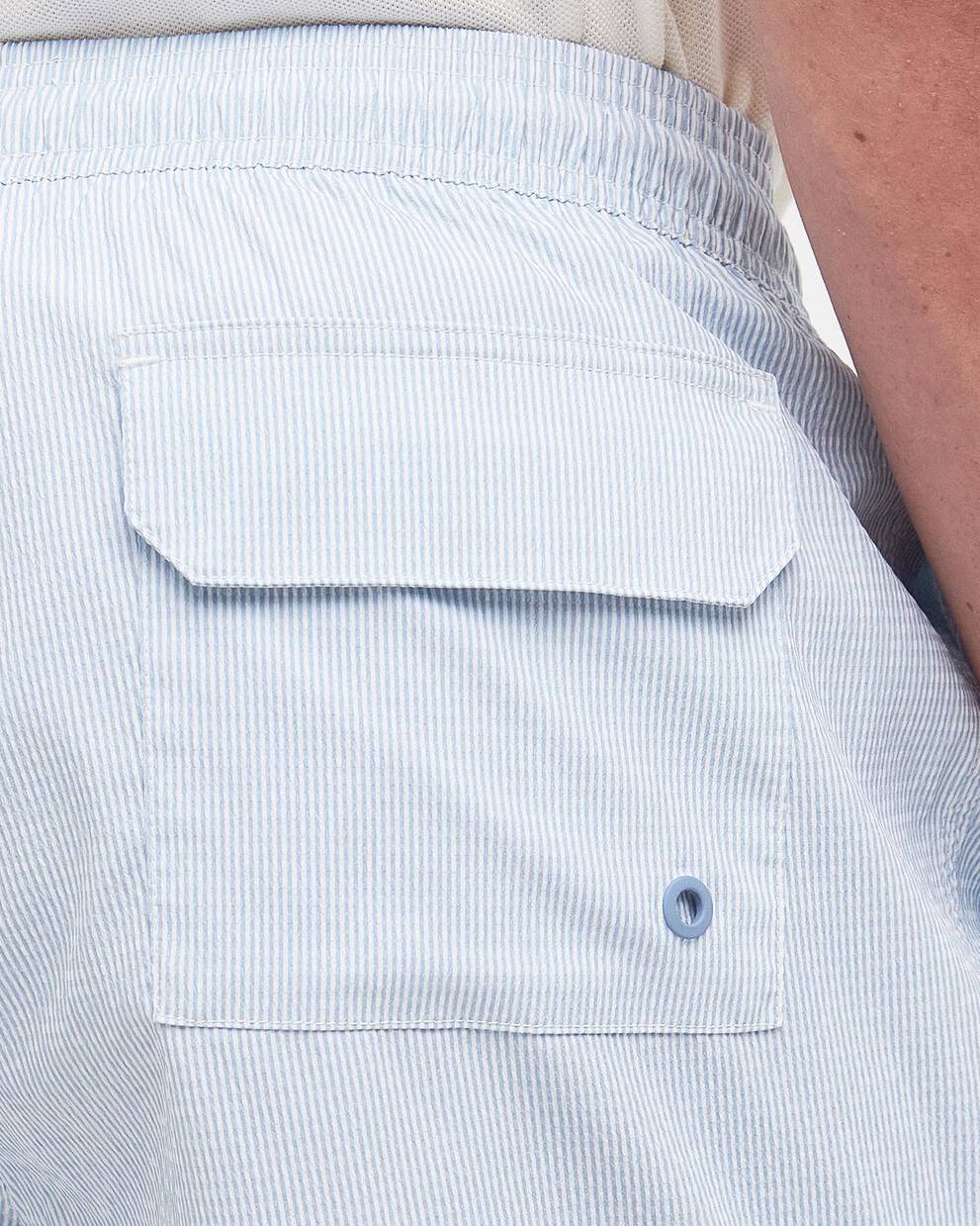 Somerset Pinstripe Swim Shorts