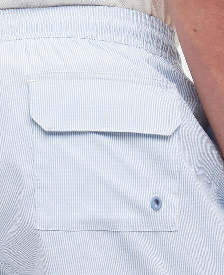 Somerset Pinstripe Swim Shorts 