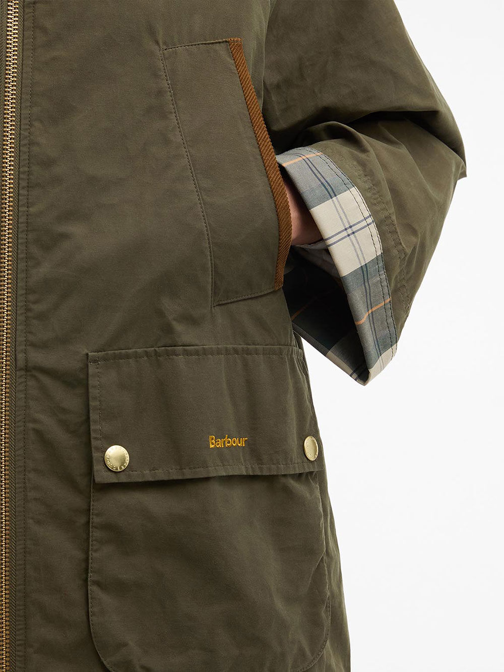 Immagine descrittiva