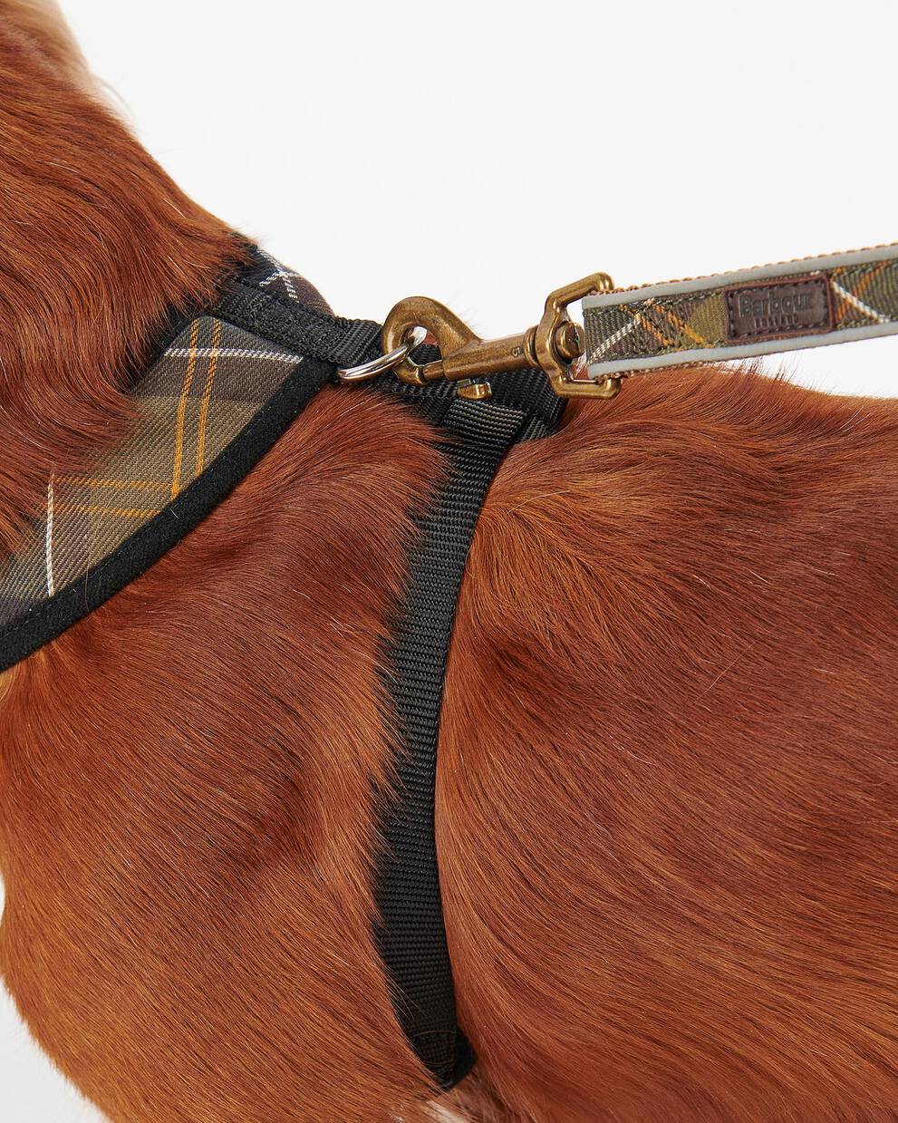 Tartan Dog Harness