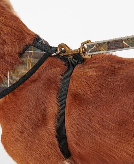 Tartan Dog Harness Classic Tartan