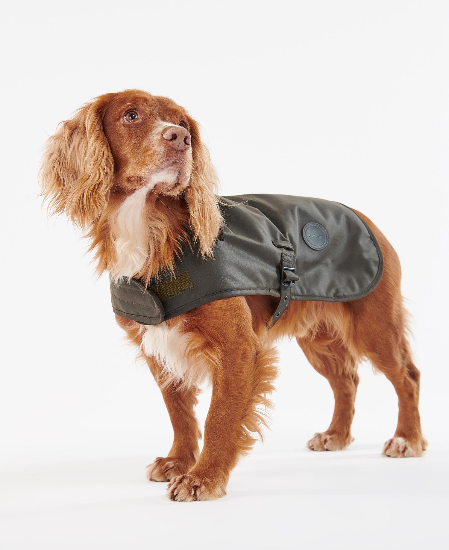Buy Waxed Dog Coat for GBP 49.95 | BARBOUR_GB
