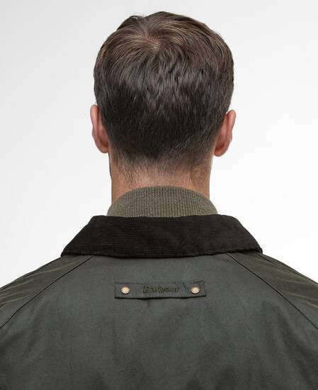 Short Lorden Wax Mac Olive