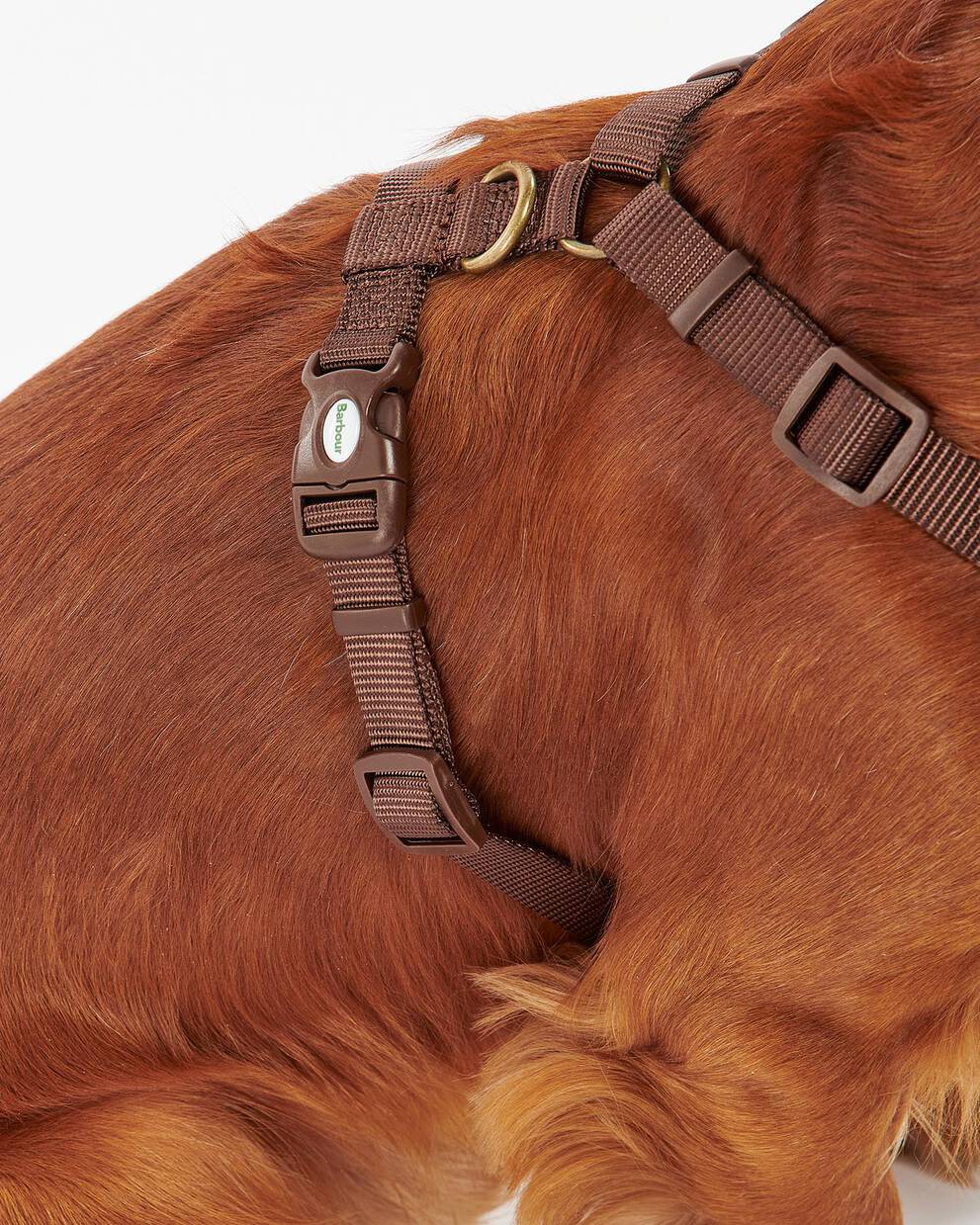 Pettorina da viaggio e da esercizio