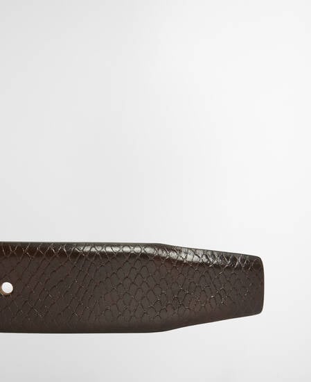 Jaspar Leather Belt Brown