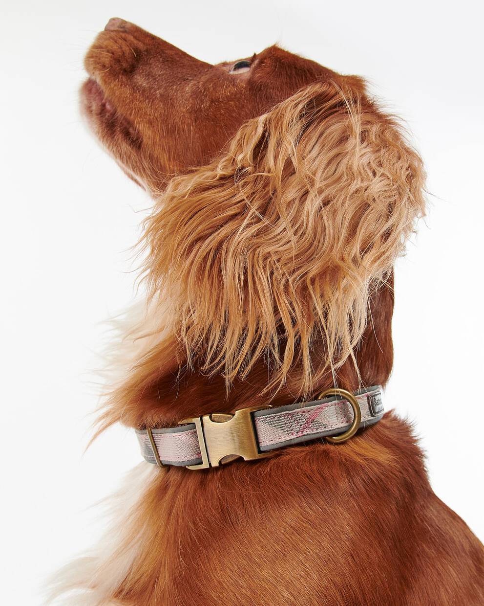 Reflective Tartan Dog Collar
