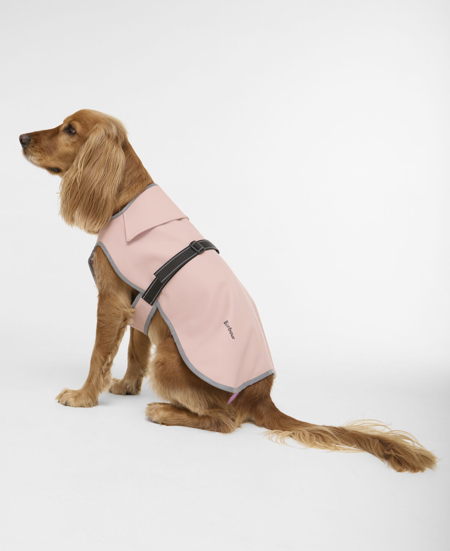 Buy Evie Waterproof Dog Coat for USD 80.00 | BARBOUR_US