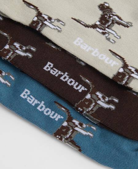Calzini con cani Pointer in confezione regalo Blue Stone