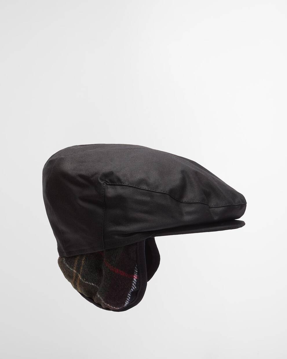 Basco cerato Cheviot