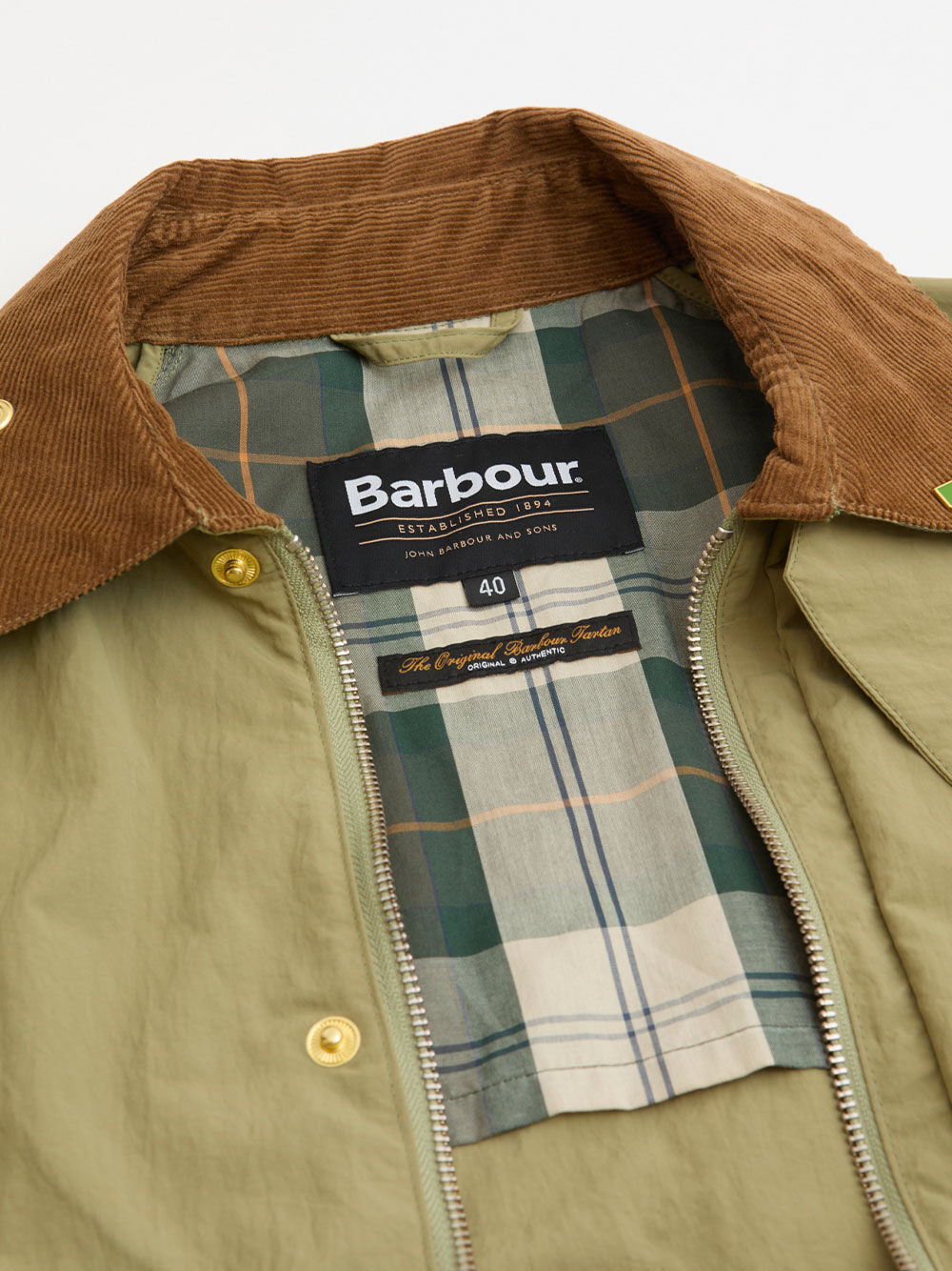 Immagine descrittiva