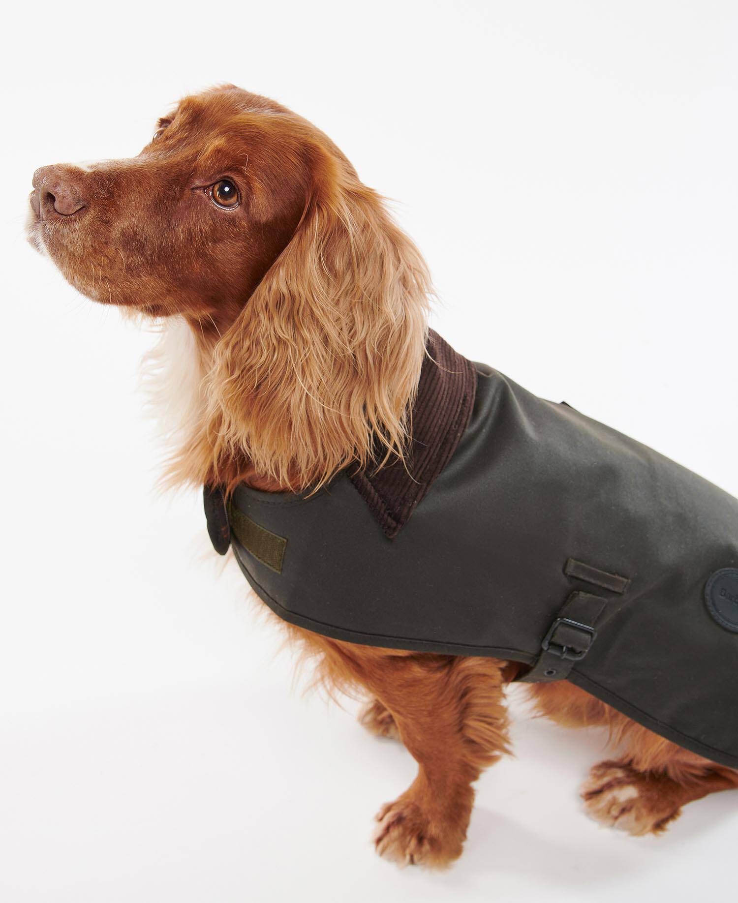 Waxed Dog Coat image number 0