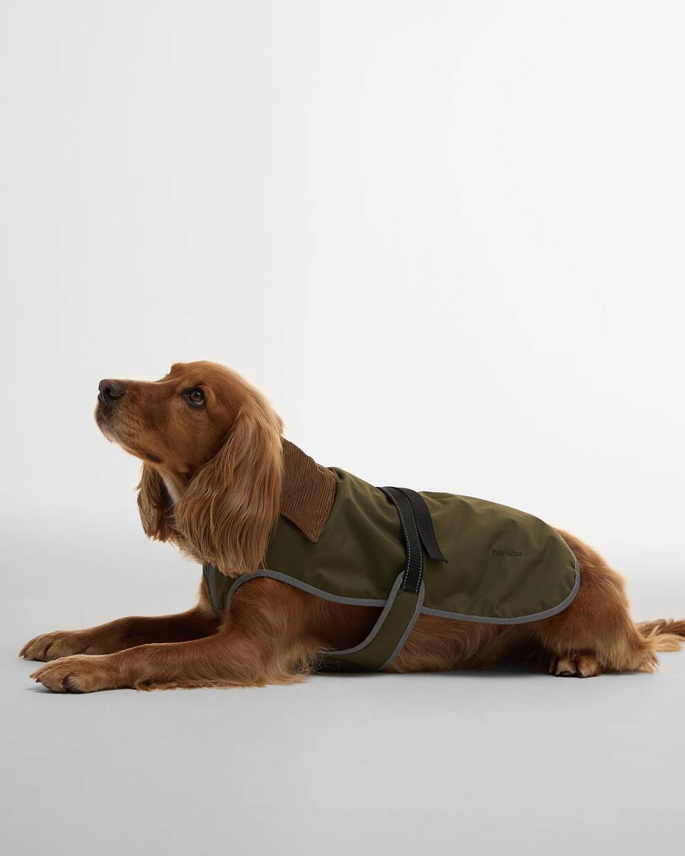 Monmouth Waterproof Dog Coat