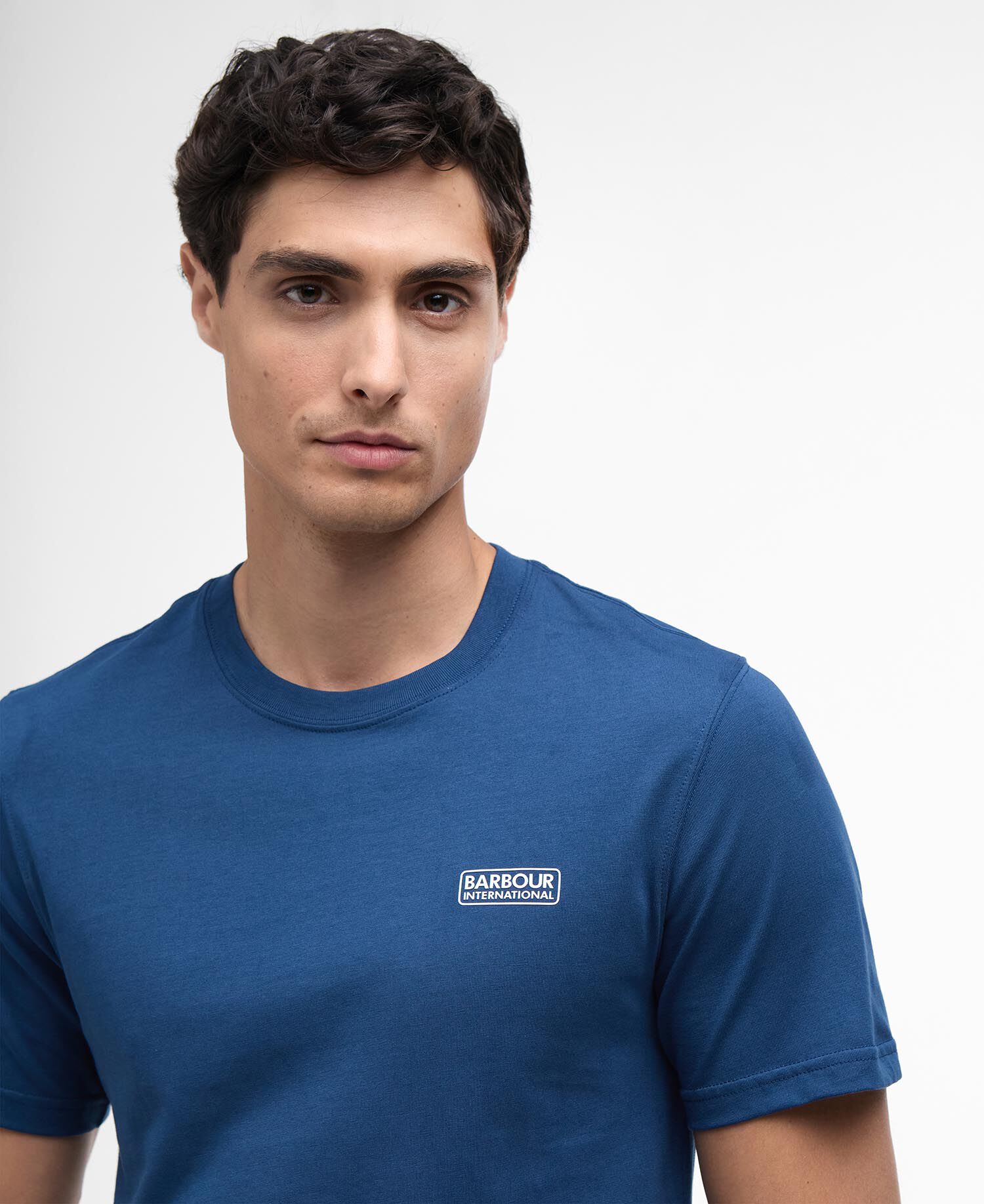Small Logo T-Shirt Insignia Blue