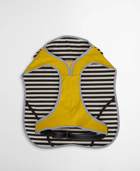 Evie Waterproof Dog Coat Limeade