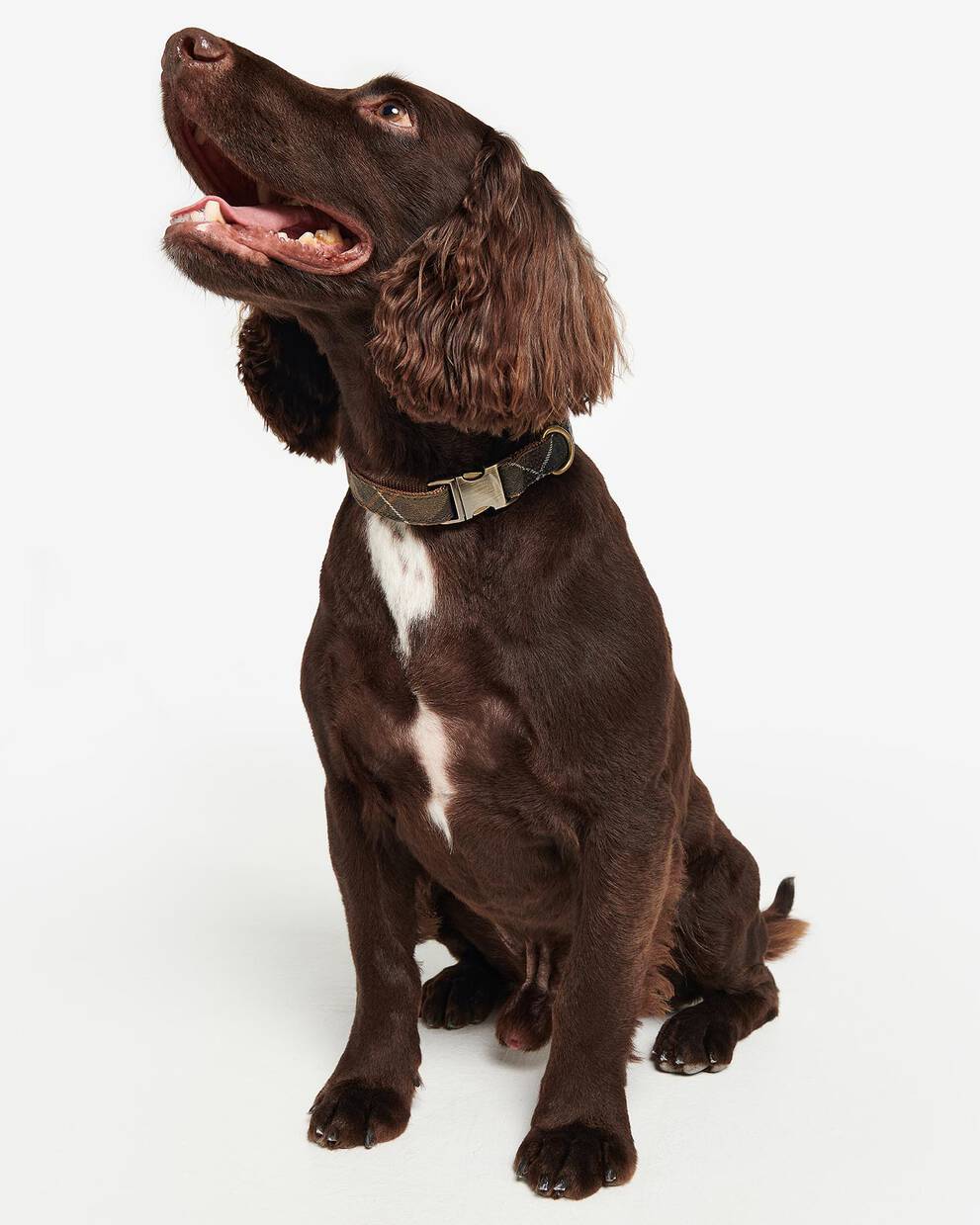 Reflective Tartan Dog Collar