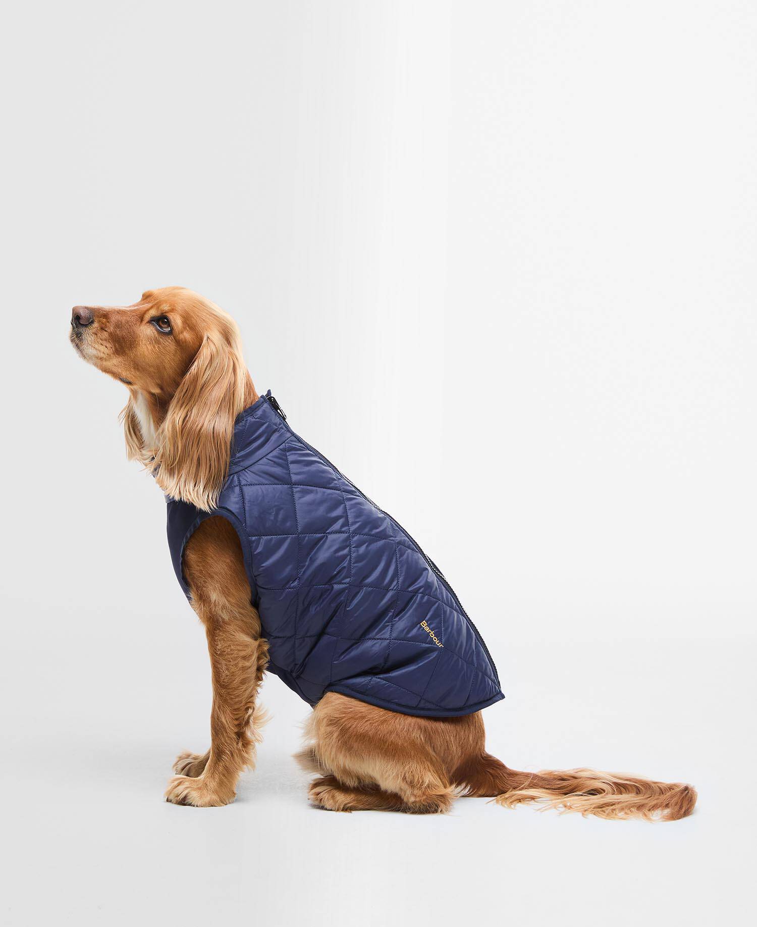 Field Reversible Dog Coat image number 0