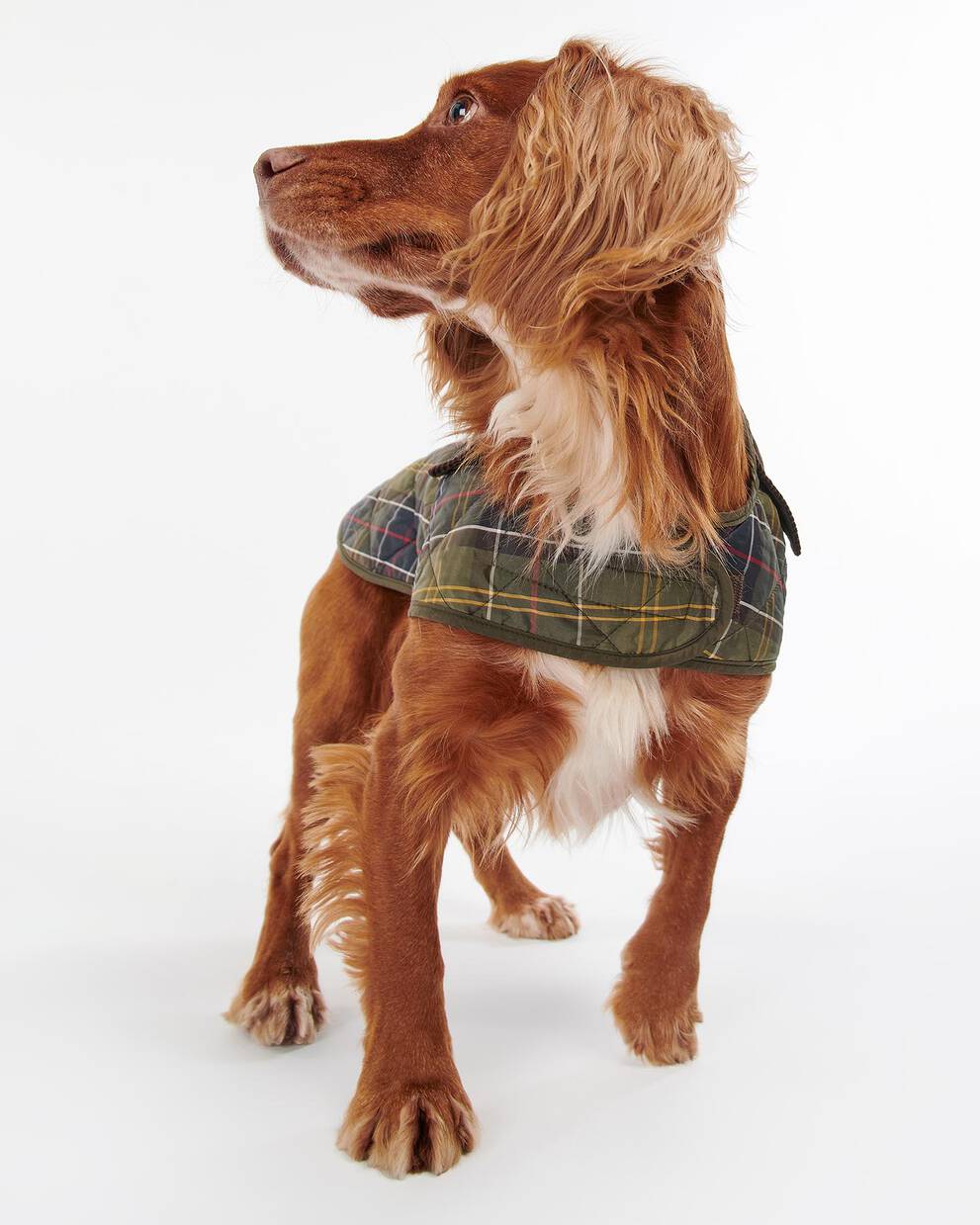 Tartan Dog Coat