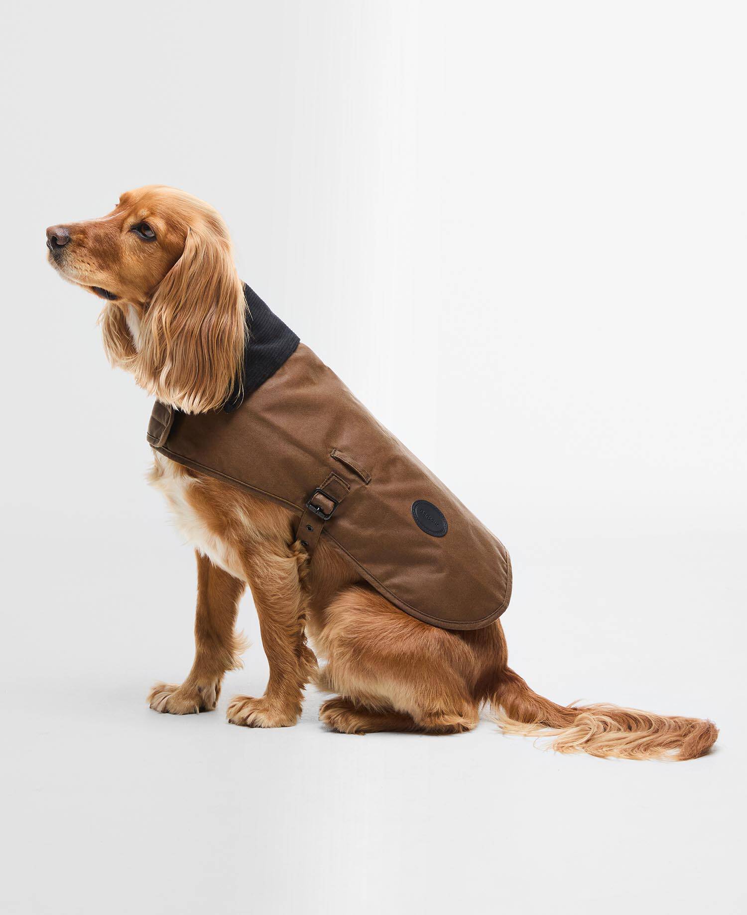 Waxed Dog Coat image number 0