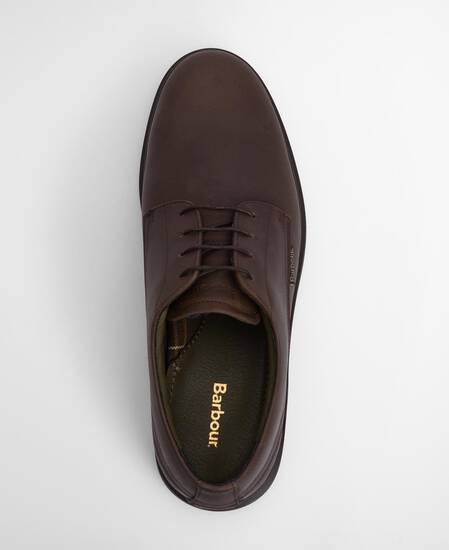 Carthy Derby Shoes Dark Brown