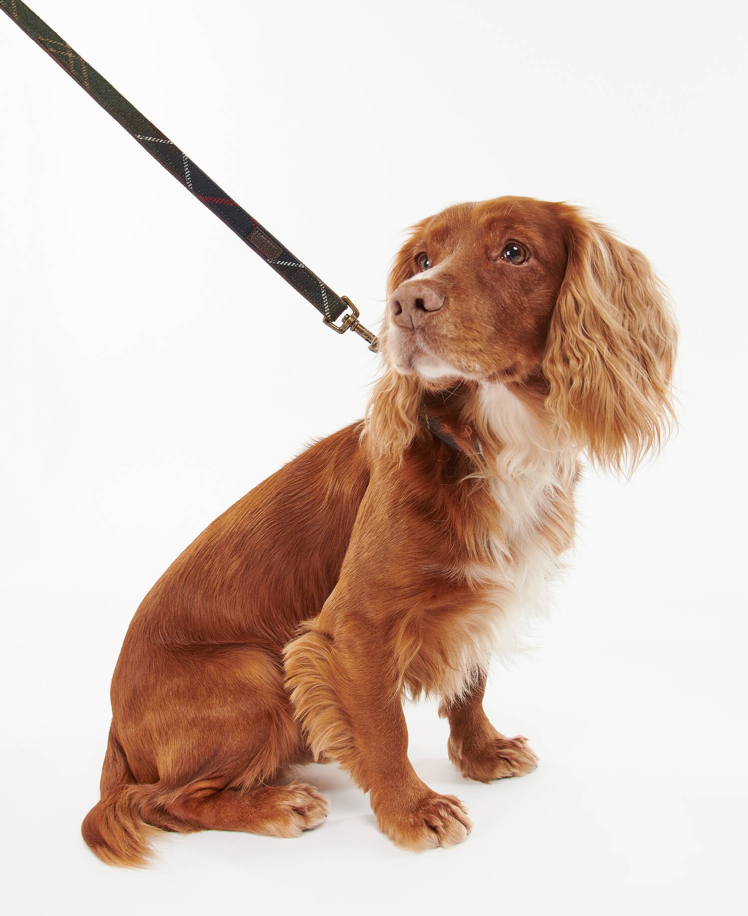 Tartan Hundeleine image number 1