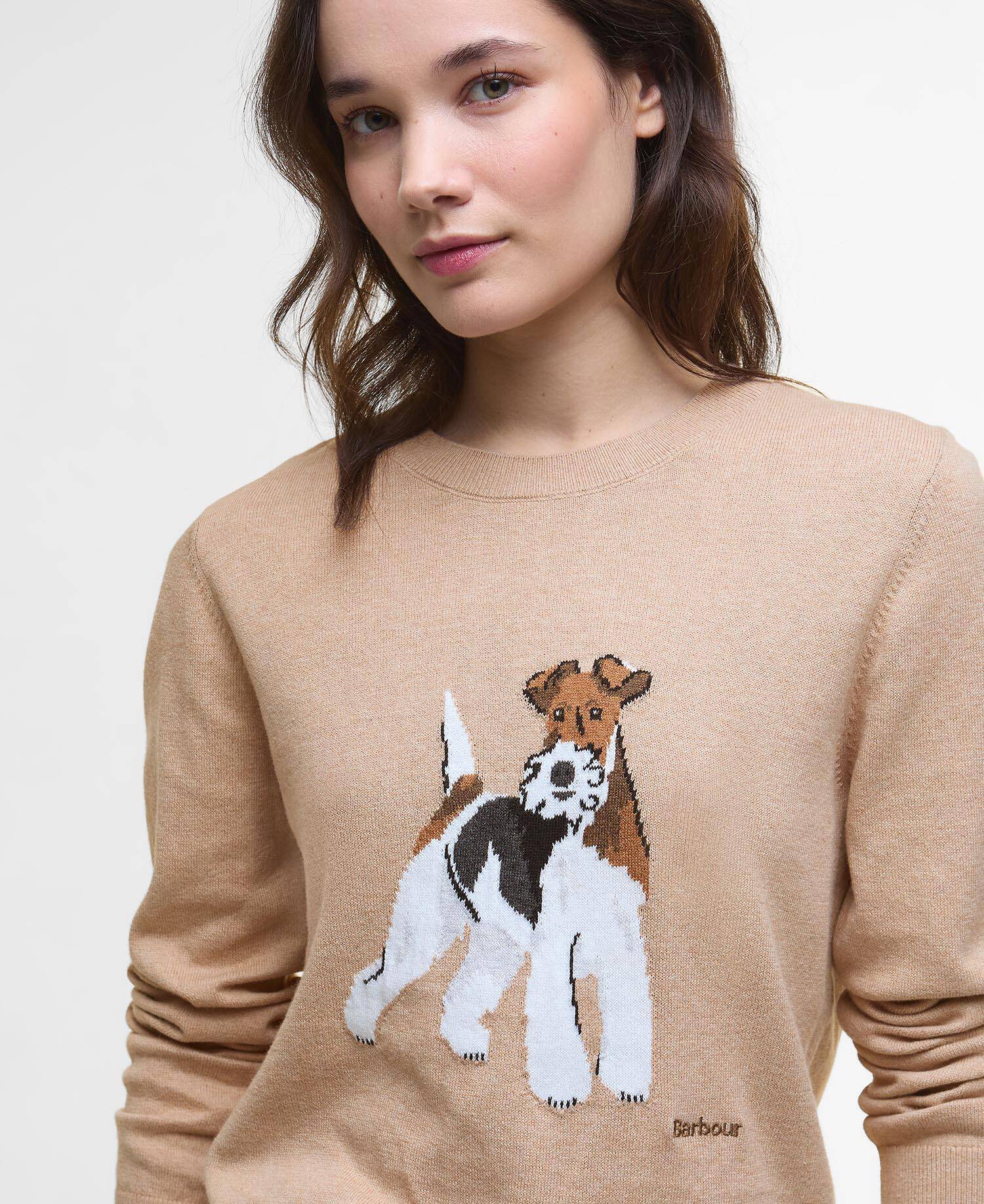 Fareham Crew Neck Jumper image number 3