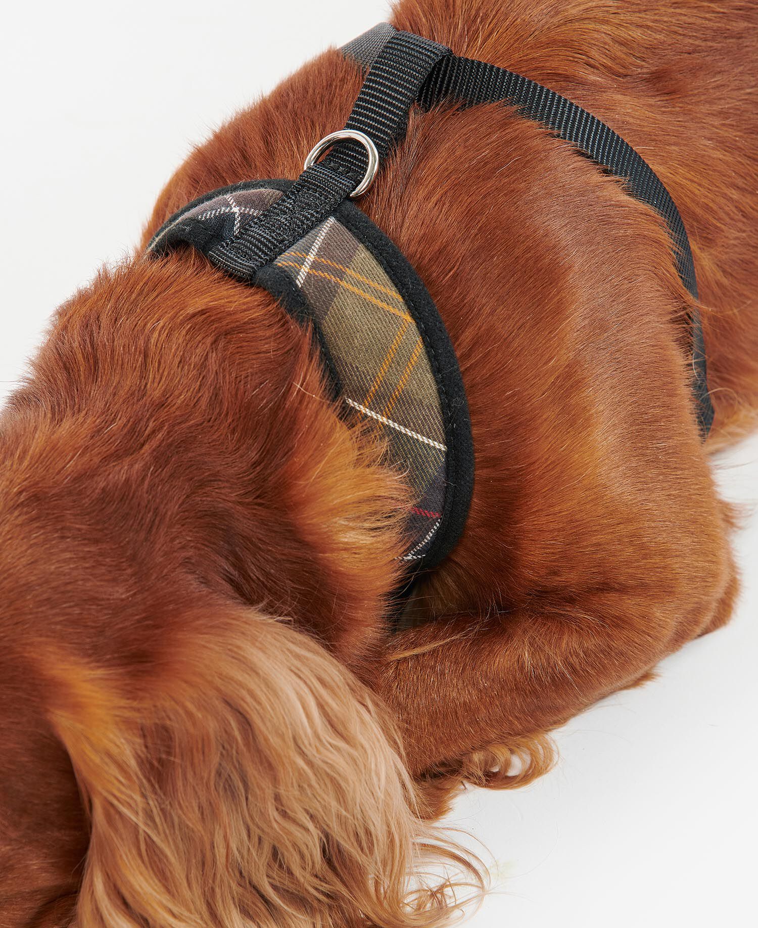Tartan Dog Harness