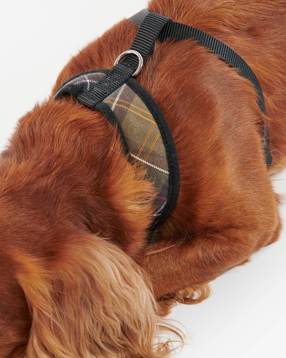 Tartan Dog Harness