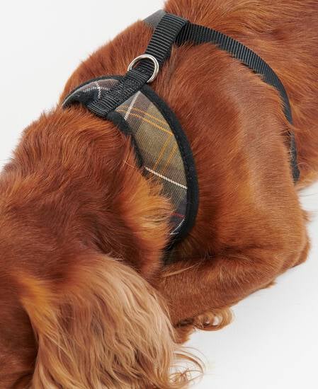 Tartan Dog Harness Classic Tartan