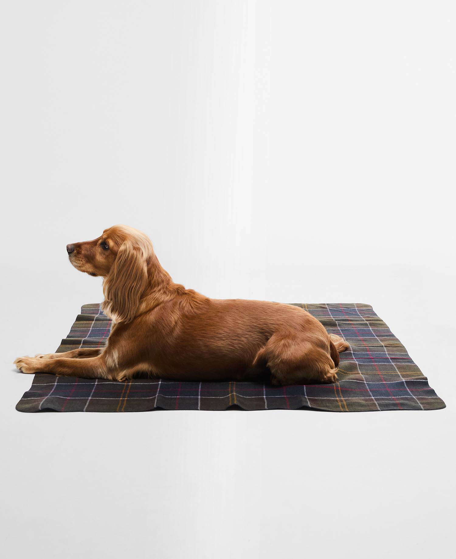 Tartan Dog Blanket image number 0