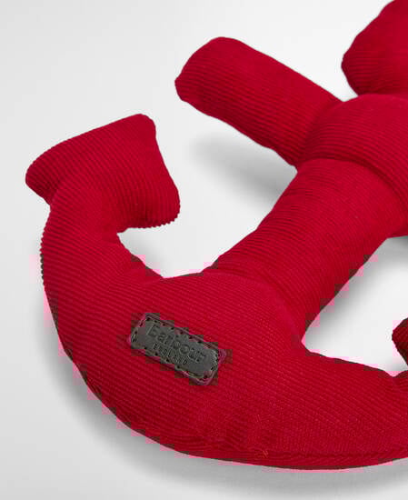 Dog Anchor Toy Red