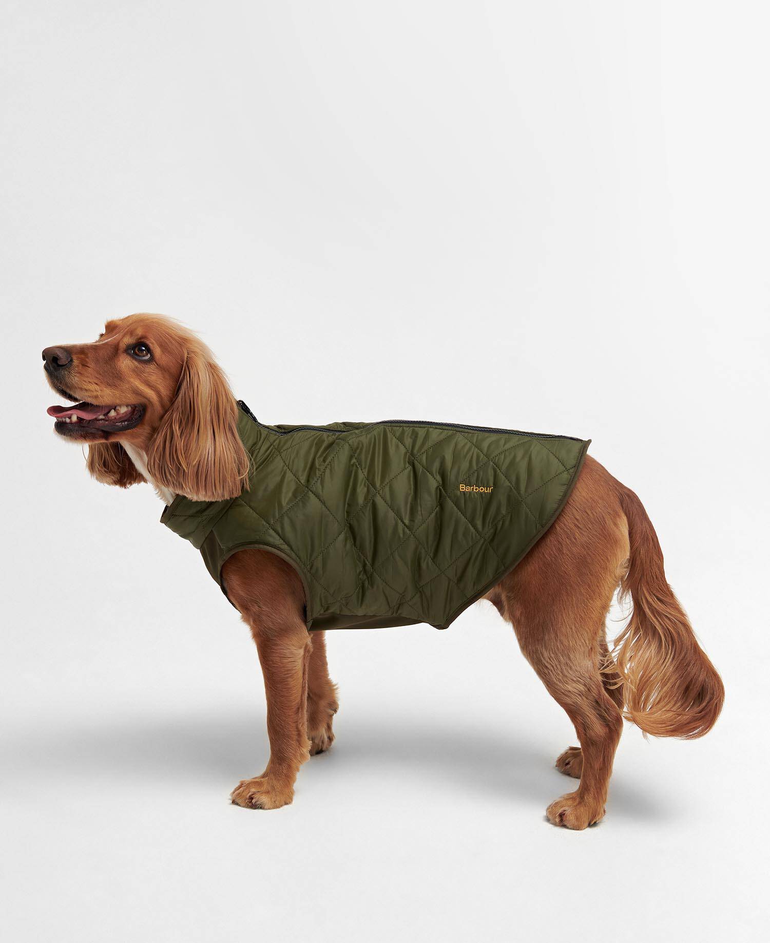 Reversible Quilted Dog Coat image number 0