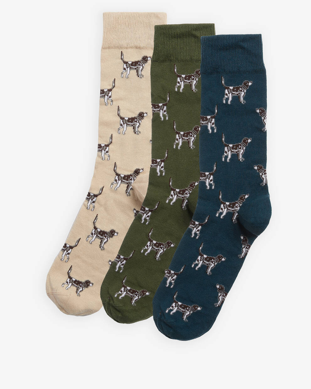 Pointer Dog Socks Gift Box