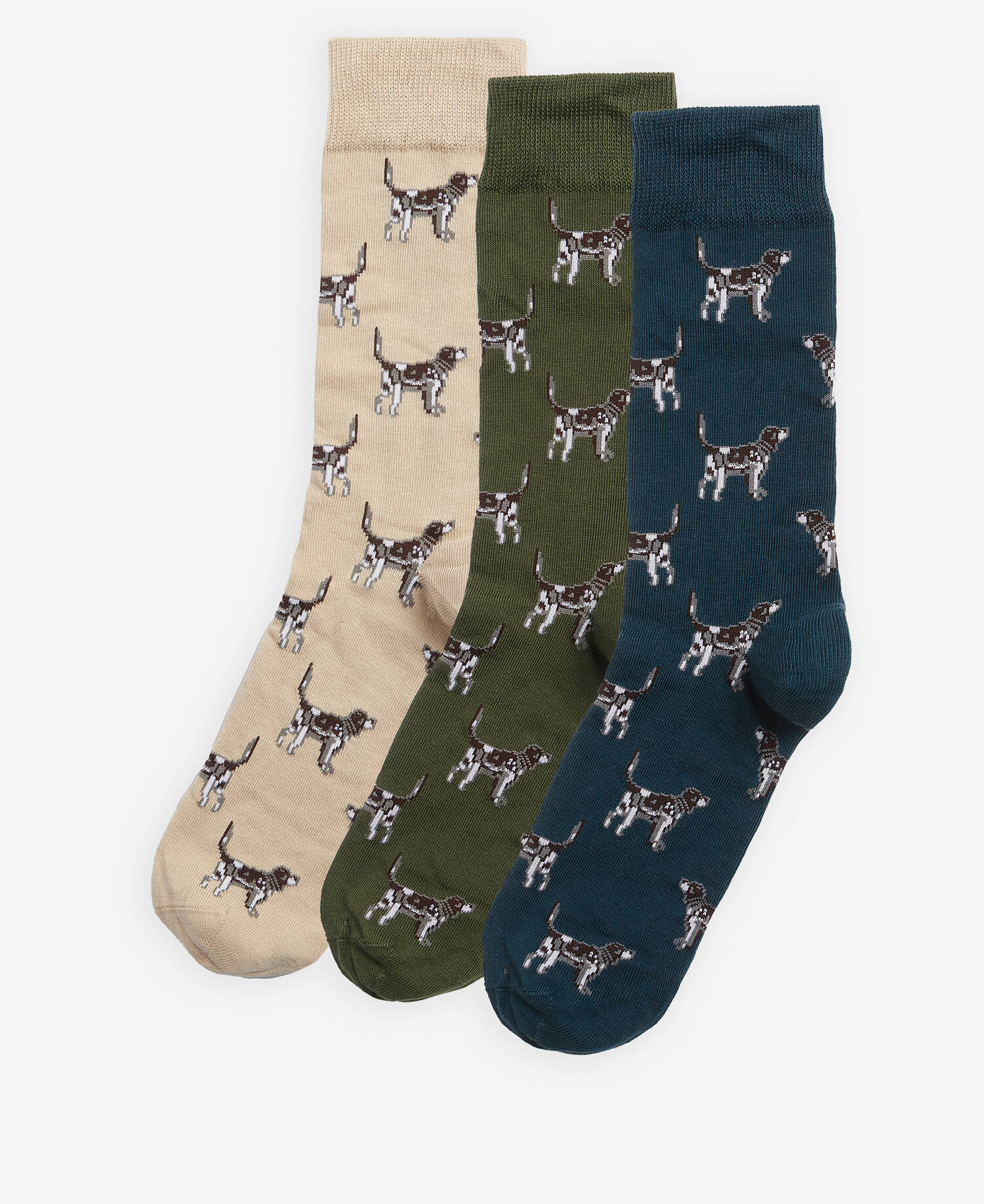 Pointer Dog Socks Gift Box image number 0