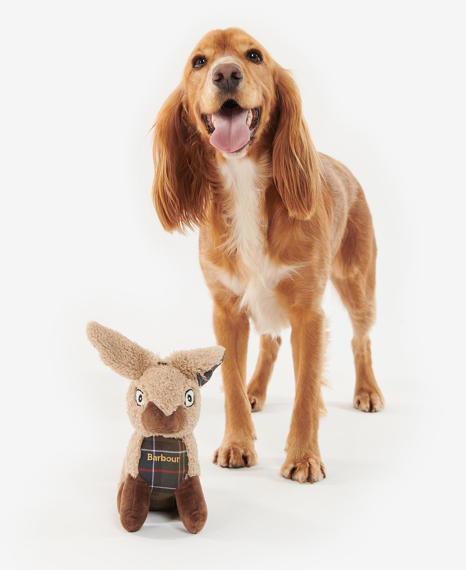 Rabbit Dog Toy Rabbit