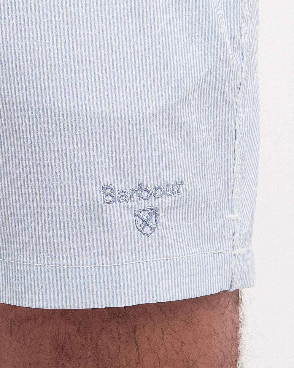 Somerset Pinstripe Swim Shorts