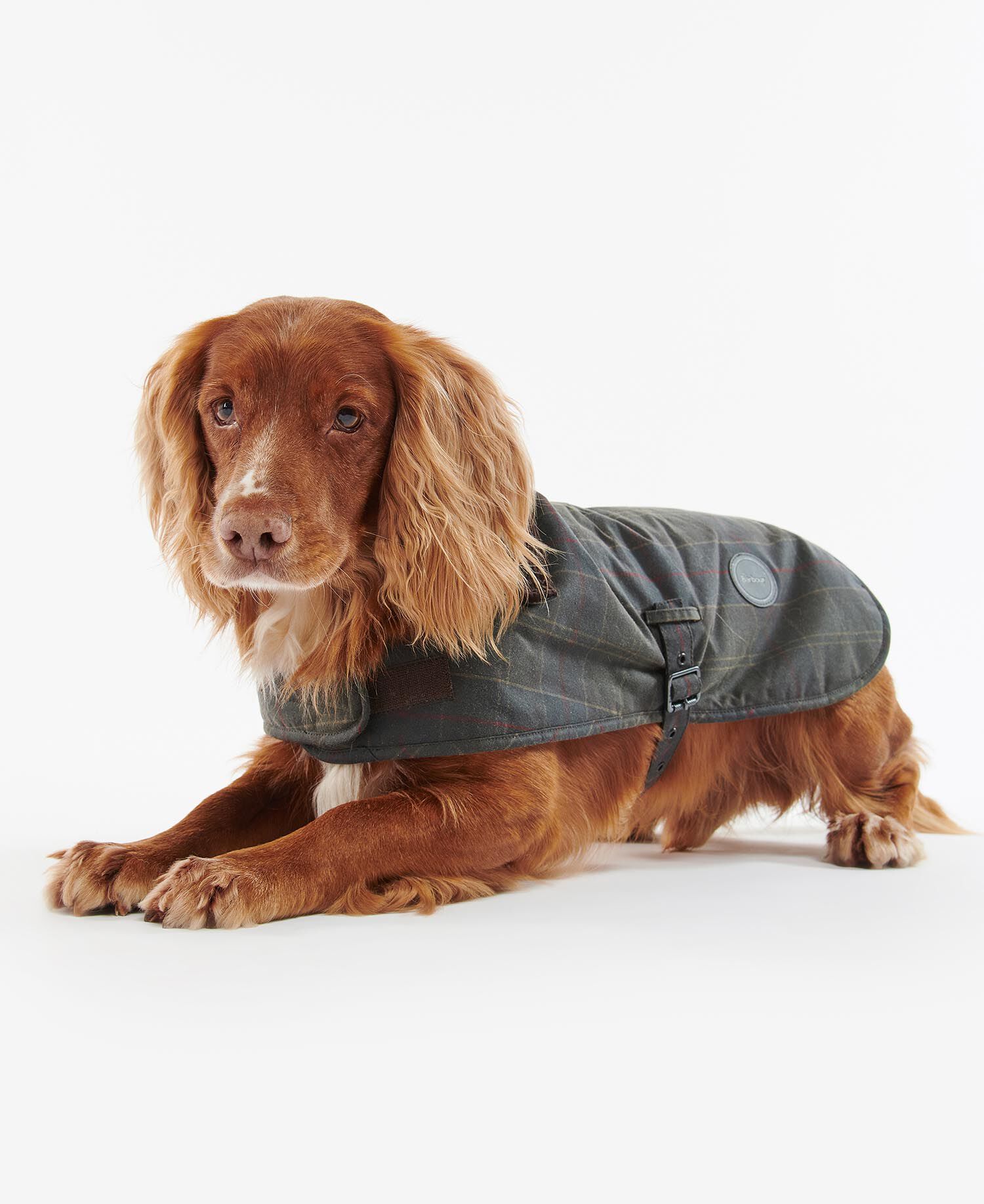 Buy Tartan Waxed Dog Coat for N/A 0.0 | BARBOUR_US