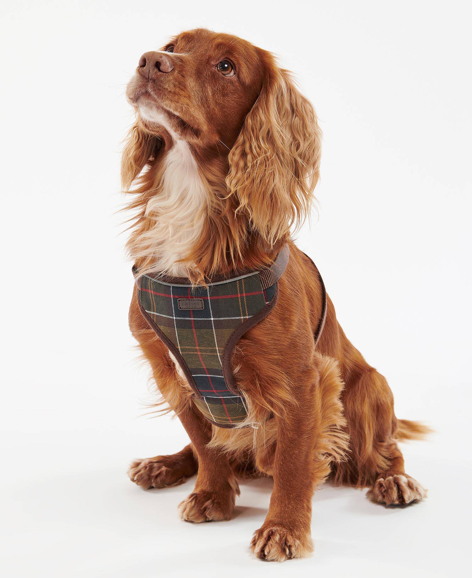 Travel And Exercise Harness Classic Tartan image number 0