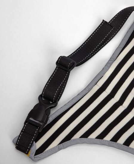 Evie Waterproof Dog Coat Limeade