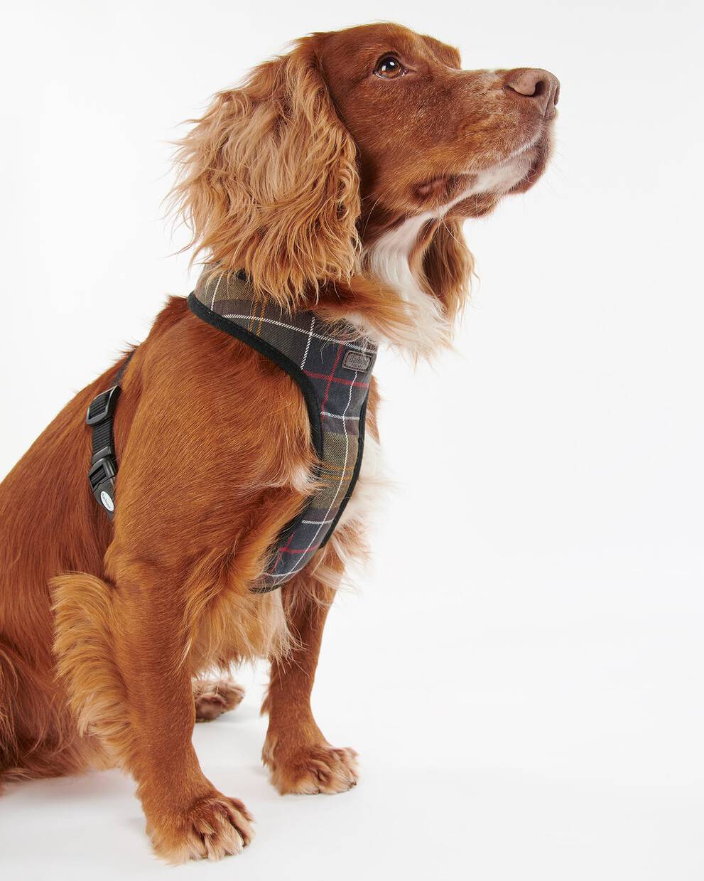Tartan Dog Harness