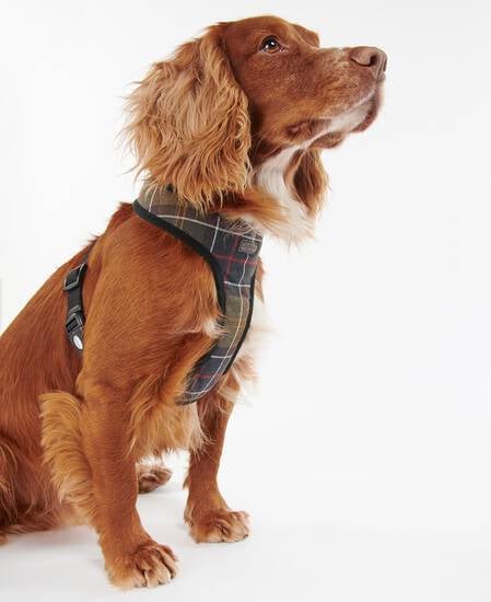 Tartan Dog Harness Classic Tartan