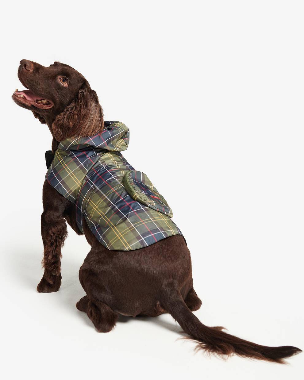 Packable Tartan Dog Coat