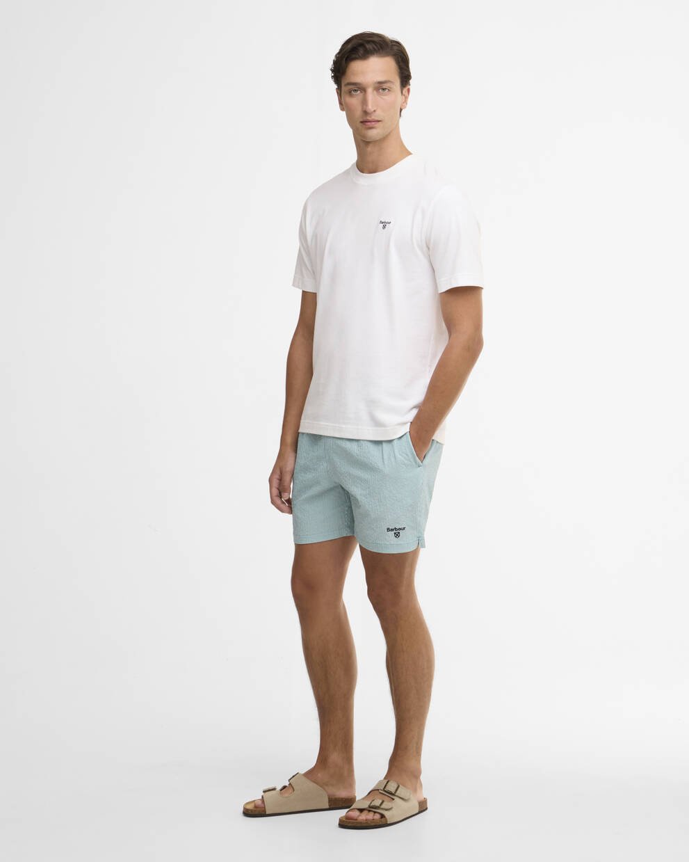 Somerset Pinstripe Swim Shorts