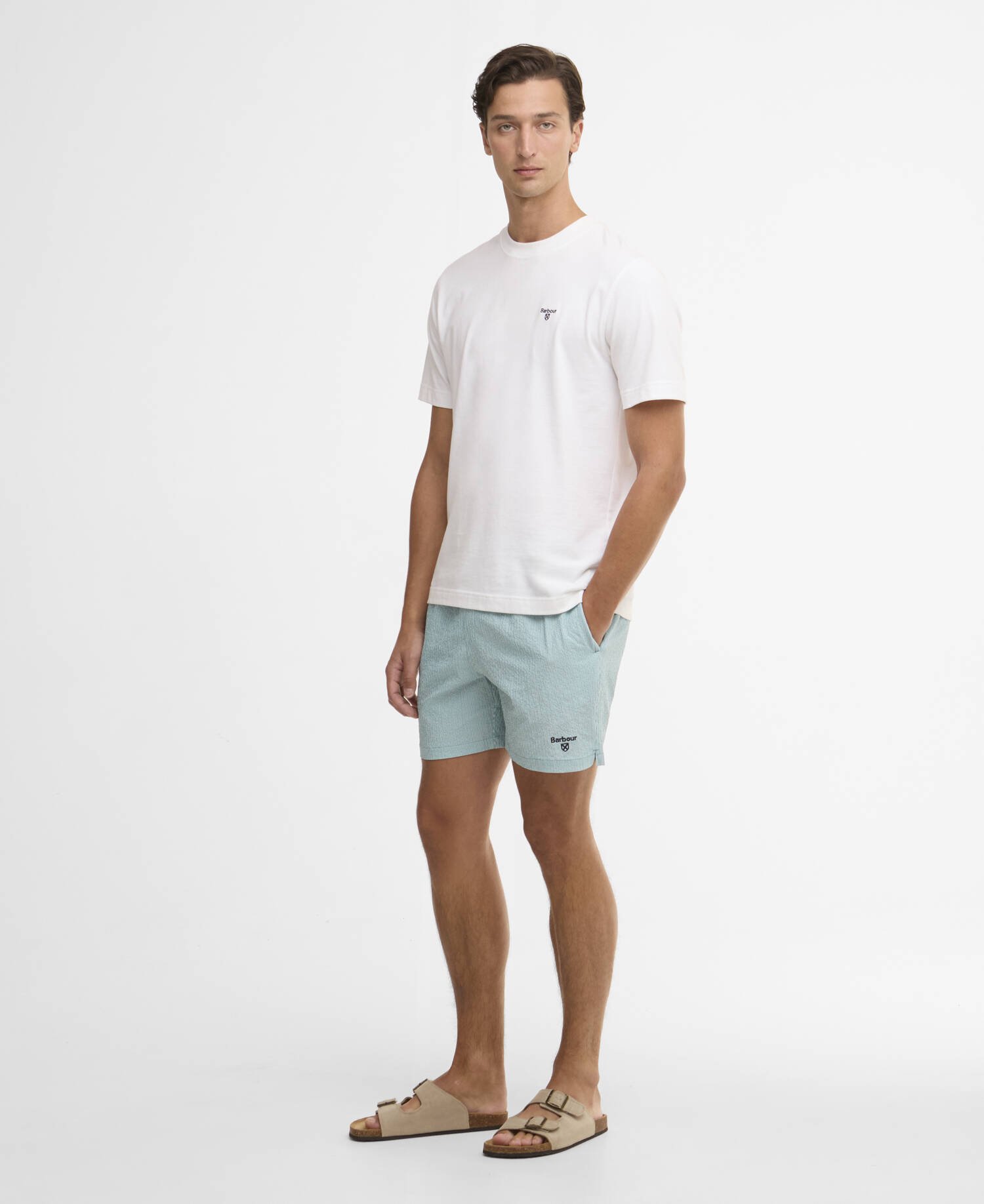 Somerset Pinstripe Swim Shorts image number 0