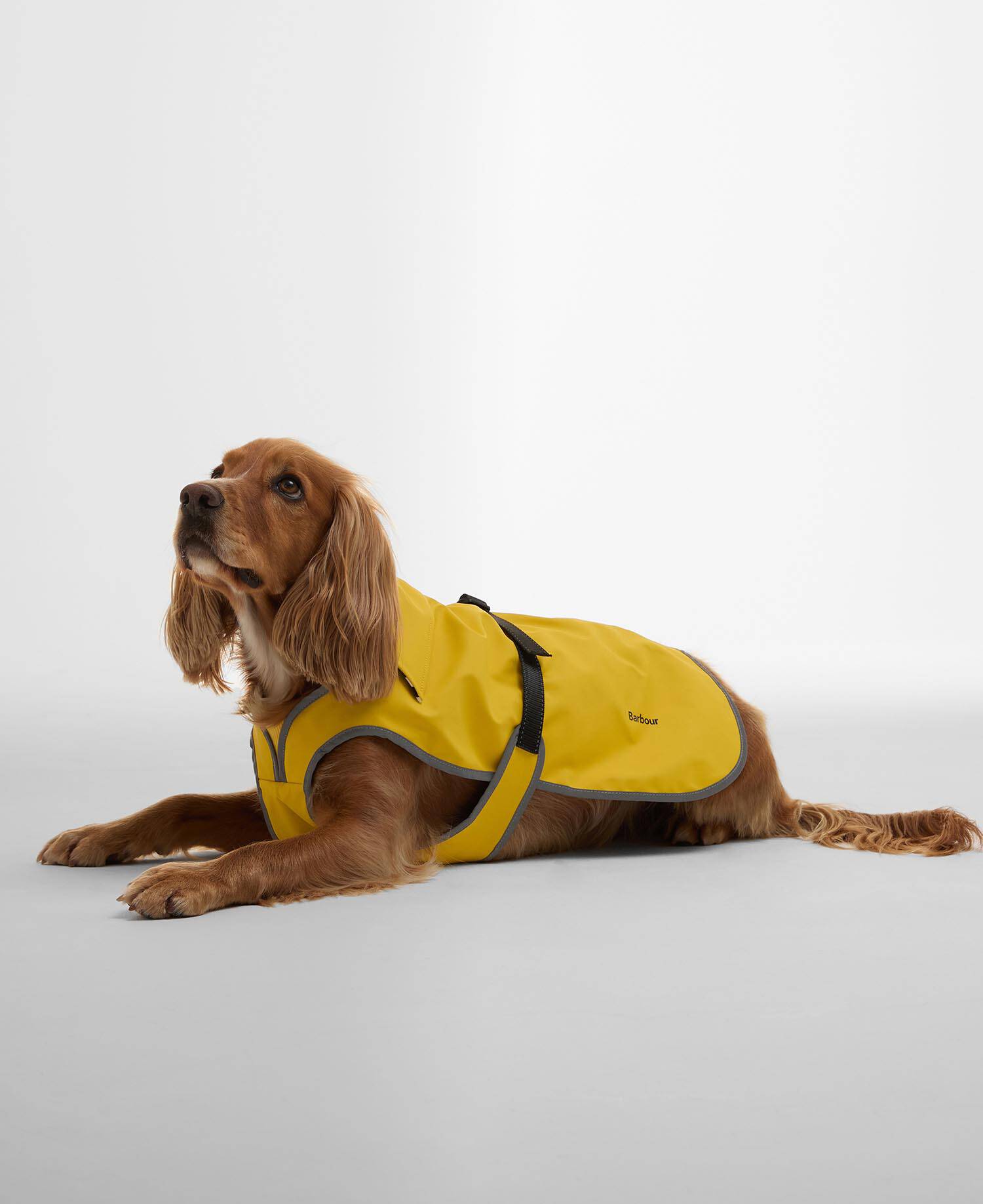 Evie Waterproof Dog Coat Limeade image number 0
