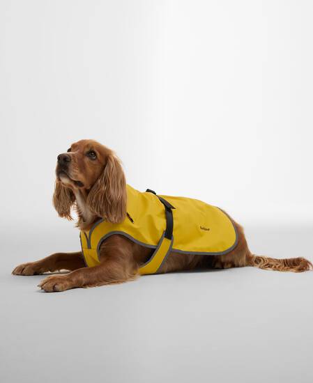 Evie Waterproof Dog Coat