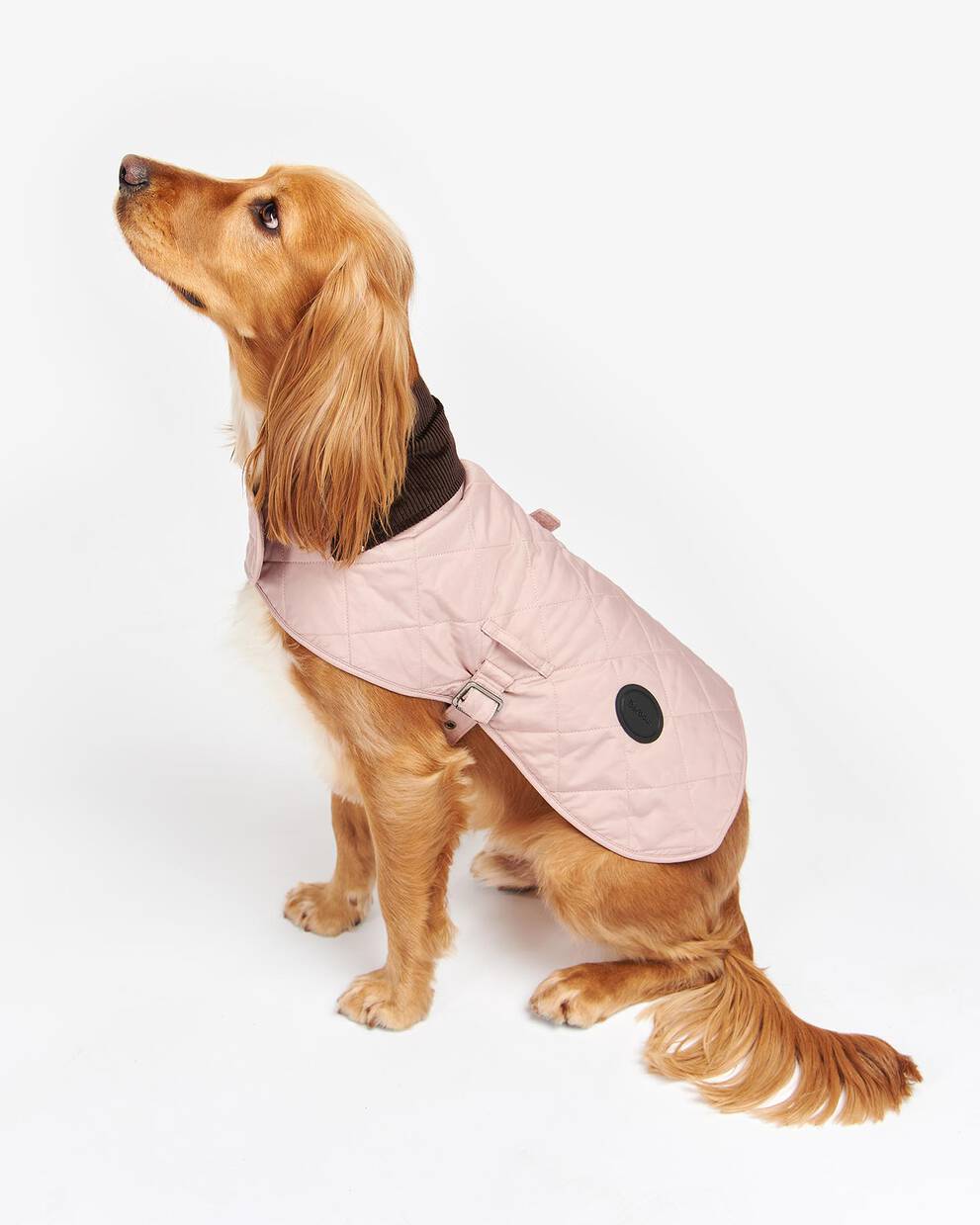 Quilted Dog Coat